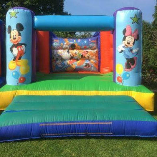 Mouse Themed Bouncy Castle