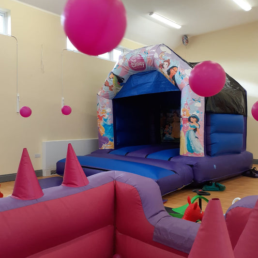 Princess Bouncy Castle Blue & Purple