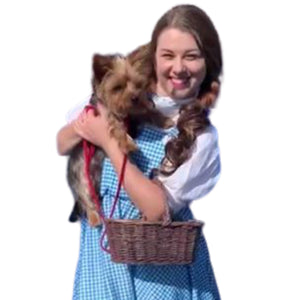 Dorothy Character Appearance