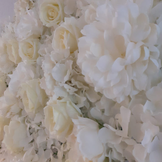 White & Cream Silk Flower Wall