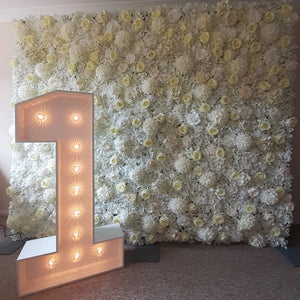 4ft LED Light Up Number 1