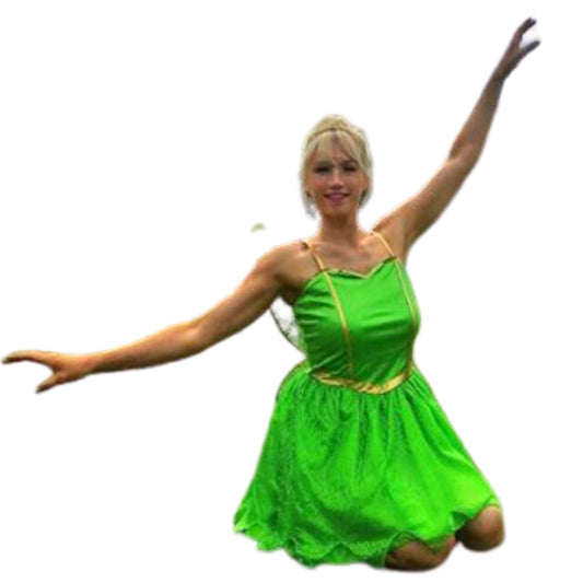 Tinker Fairy Character Appearance